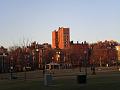 Sheffield_KW4_2008 132
